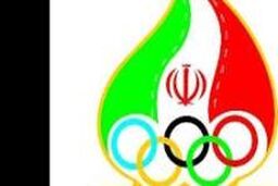 انتخاب ناظر مستقیم برای ۴ رشته مدال آور المپیکی