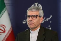 بقائی: جنگ علیه ایران، طرحی خطرناک برای هدف قرار دادن آینده کل منطقه است
