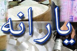 کالابرگ جایگزین پرداخت نقدی یارانه ها در سال ۹۳ شود