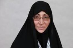 پیشنهاد ایجاد فراکسیون زنان و خانواده در کمیسیون مقام زن نیویورک