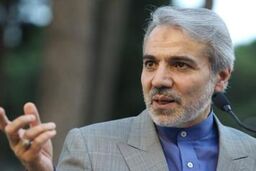 دولت یازدهم در اجرای هدفمندی یارانه ها از بانک مرکزی استقراض نمی کند