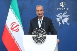 ربیعی: هنوز هم شعار ما در خانه بمانید است