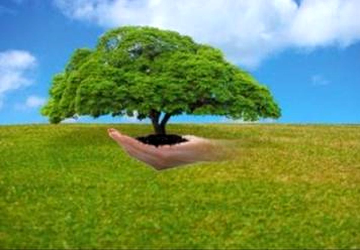 گونه های غیر بومی شکارچیان گونه های طبیعی هستند