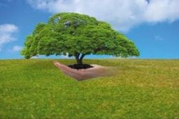 گونه های غیر بومی شکارچیان گونه های طبیعی هستند