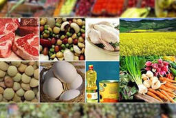 افزایش قیمت 7 روزه  نه گروه کالا 