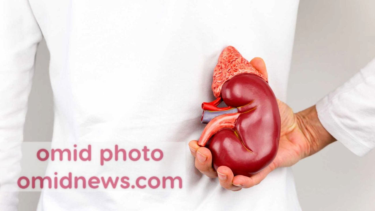 سنگ کلیه و چگونگی مبارزه با آن