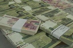 ریسک  حذف صفر از پول ملی!