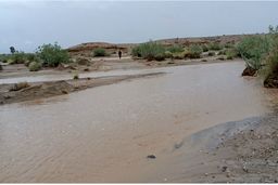 سیل ایرانشهر و بزمان حادثه آفرید