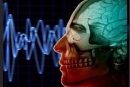 نخستین مرکز نقشه برداری مغز خاورمیانه در ایران افتتاح می شود