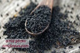 جایگاه سیاه دانه در درمان بیماری ها
