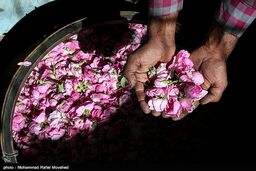 کاشان| ‎بازدید بیش از 200 هزار نفر گردشگر از کاشان
