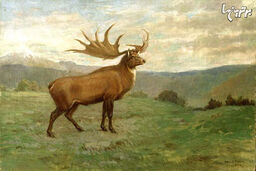 بازگشت جانوران منقرض شده به لطف فناوری‌های نوین