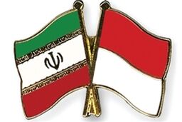 درخواست برقراری پرواز جاکارتا - تهران