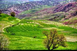 راهنمای سفر به کوهرنگ | بهشتی برای سفر در فصل تابستان