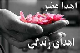ثبت‌نام نمایندگان مجلس برای اهدای عضو