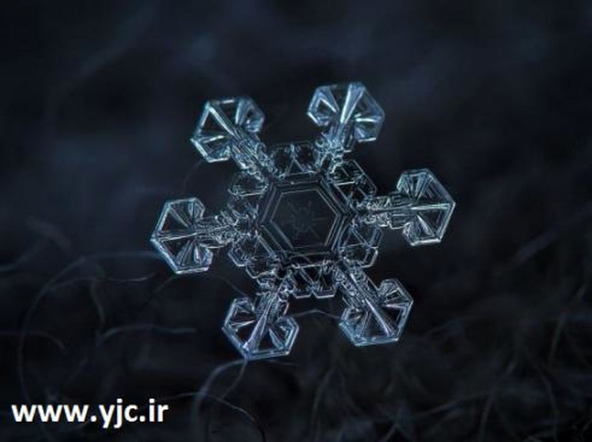 عکاسی شگفت انگیز با دوربین ساده + تصاویر