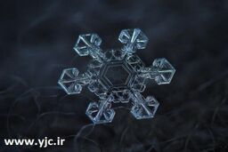 عکاسی شگفت انگیز با دوربین ساده + تصاویر