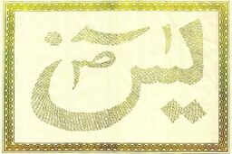 سوره یاسین در کلام امام زمان(عج)
