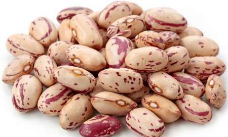 توزیع 270 تن بذر اصلاح شده لوبیا در کشور آغاز شد