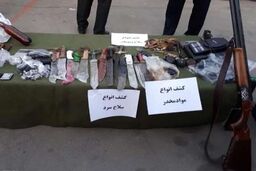 11 قبضه سلاح در بروجرد کشف و ضبط شد