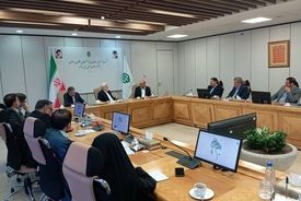 عارف: بنیاد مستضعفان رقیب دولت نیست