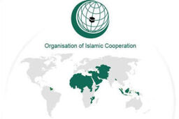 هیات سازمان همکاری های اسلامی به آفریقا می رود