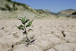 کاهش ۲۸ درصدی بارش باران در تهران