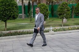 فرزین: نرخ ارزهای ترجیحی و توافقی تغییر نخواهد کرد