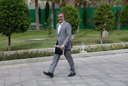فرزین: نرخ ارزهای ترجیحی و توافقی تغییر نخواهد کرد