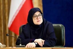 توضیحات سخنگوی دولت درباره نرخ سوم بنزین
