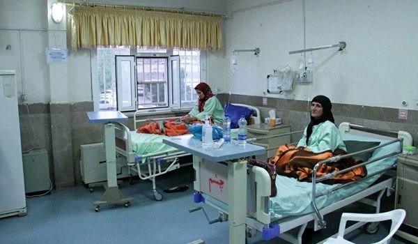 9 فوتی بر اثر مصرف قارچ/ مردم قارچ فلهای مصرف نکنند