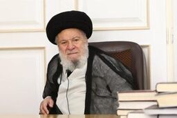 تأکید آیت الله موسوی اردبیلی بر تامین دارو برای بیماران صعب العلاج
