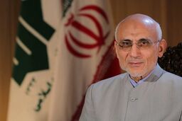 رد گفته میرسلیم درباره ماجرای تفلیس / به هیچ یک از زنان محجبه ایرانی در تفلیس هتک حرمت نشد