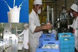 دولت باید برای یارانه شیر تدبیر بیندیشد