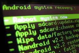 روت و جیل برک چیست؟