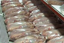 قیمت مرغ رو به کاهش است
