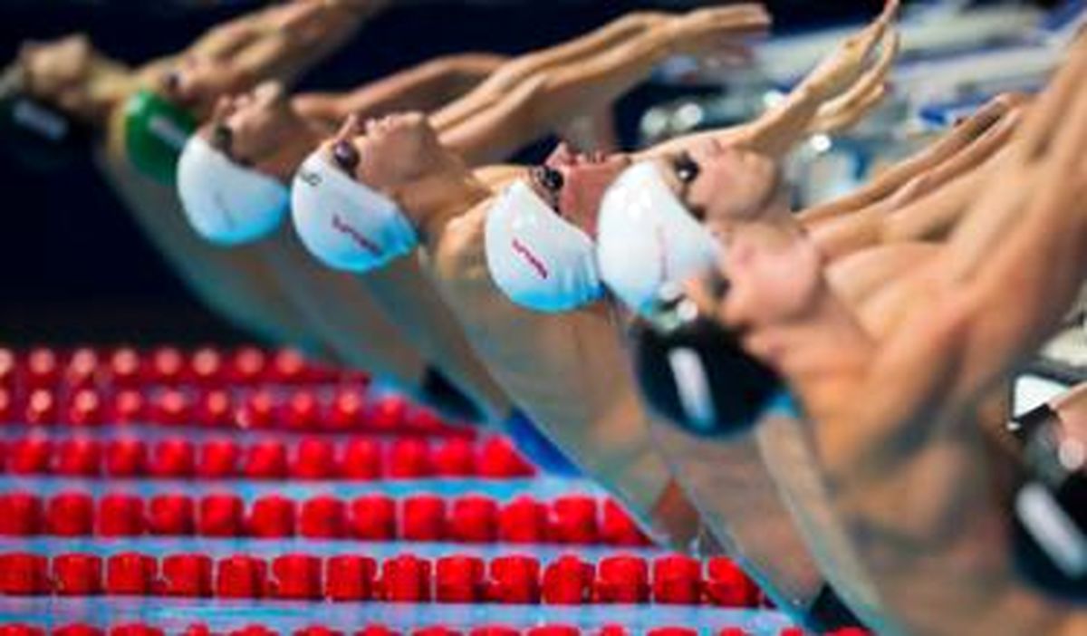 جهان شنا در سالی که گذشت