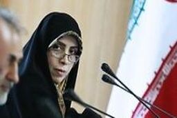 توضیحات امین زاده در خصوص مسکوت ماندن منشور حقوق شهروندی در دولت
