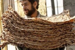 اصلاح قیمت نان فعلاً در دستور کار نیست