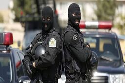 جزئیات پرونده درگیری هولناک اراذل و اوباش با خانواده‌ها در پارک ارم
