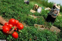 درخواست ۱۶۳ نماینده از رئیس جمهور برای حل مشکلات کشاورزان استان کرمان