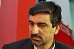 ساختار مشخصی برای مبارزه با مفاسد اقتصادی تعریف نشده است