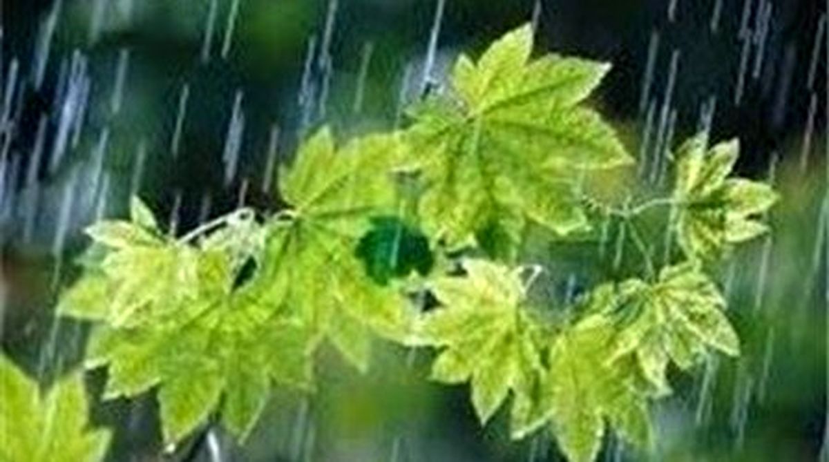 پیش بینی بارش باران برای برخی نقاط کشور
