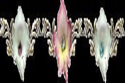 پیامک های تبریک ولادت حضرت فاطمه(س)