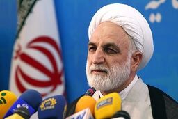 اژه ای: احکام پرونده اختلاس از بیمه ایران صادر شد