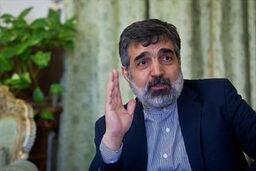 سخنگوی سازمان انرژی اتمی تعیین شد