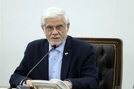مهاجرت بد نیست، اگر با برگشت به کشور همراه باشد