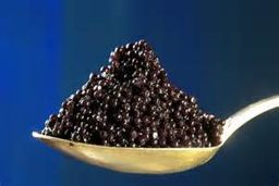 هر کیلو " خاویار " ایرانی دراروپا چند؟