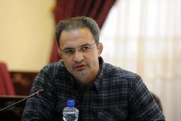 سازمان خصوصی سازی مانع اصلی واگذاری سرخابی است