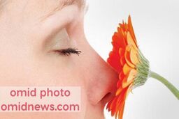 حس بویایی انسان به تدریج کاسته می شود